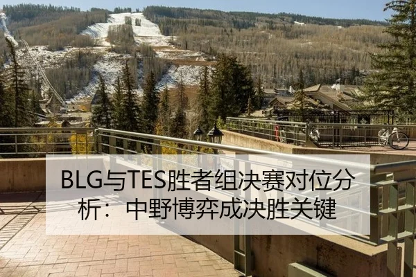 BLG与TES胜者组决赛对位分析：中野博弈成决胜关键